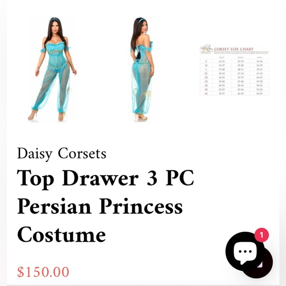 Princess Jasmine Costume - Picture 10 of 10